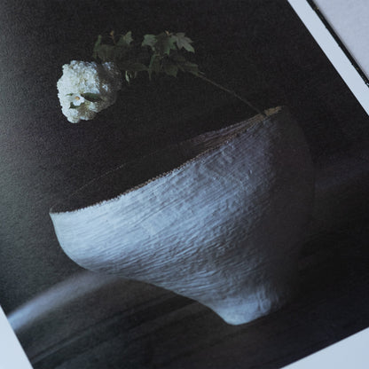 写真集：而今の花