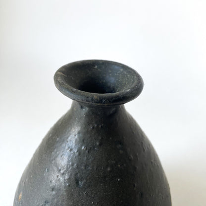 Ryo Aoki's Yakishime Sake Bottle